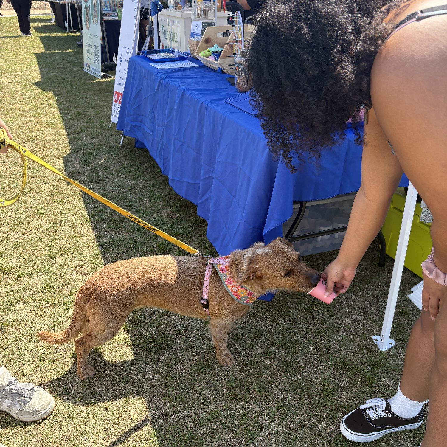 RVAH Event Booth 6 Dog enjoys pup cup