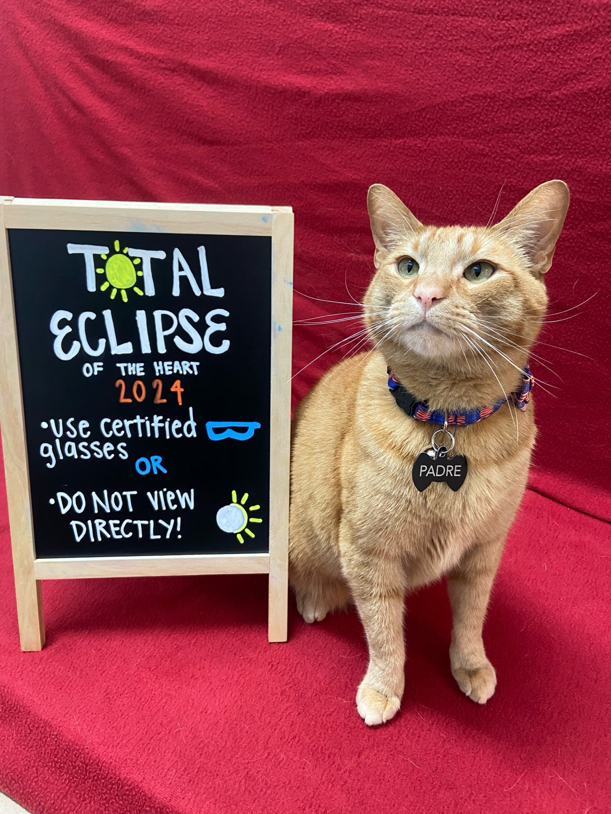 Padre sitting next to an announcement for the eclipse