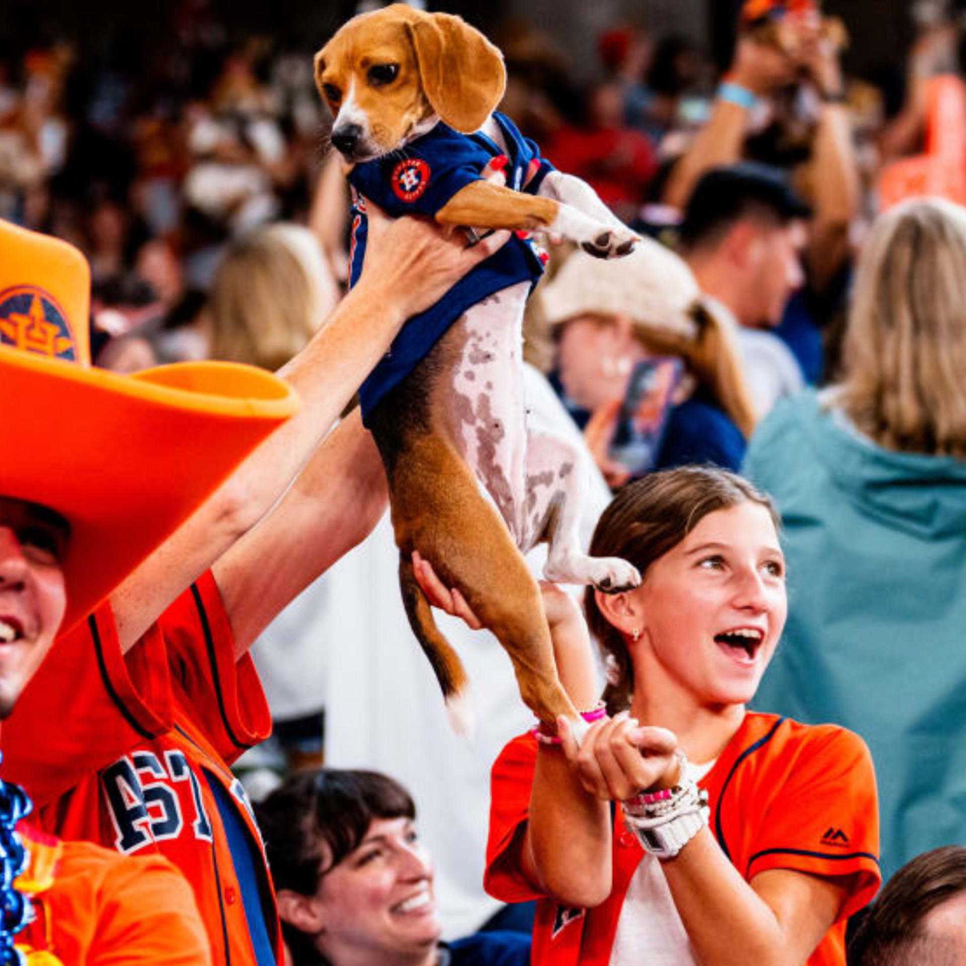 Astros Dog Day Astros Dog Day