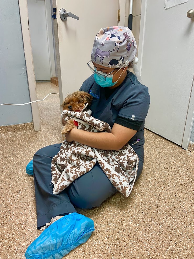 Veterinary Technician with a surgery patient