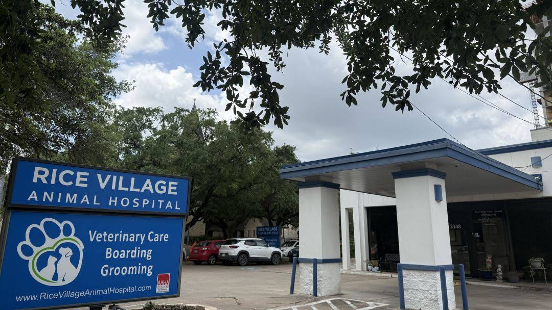 Veterinarian in Houston, TX