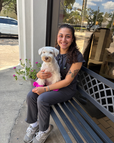 Rice Village Animal Hospital